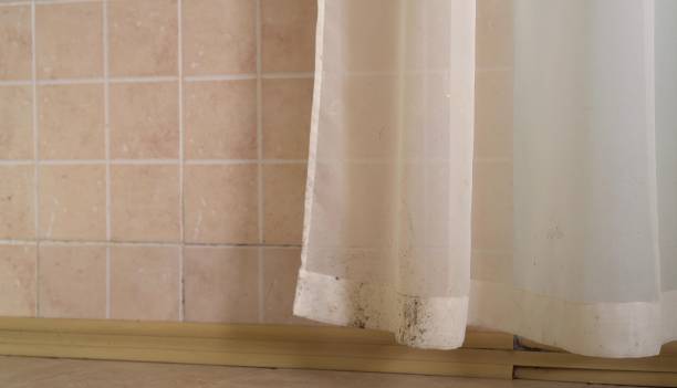 Best Mold Removal for HVAC Installations  in Charlestown, IN