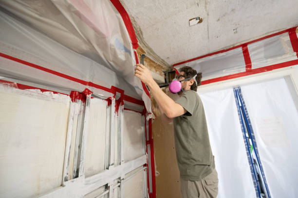 Best Crawl Space Mold Remediation  in Charlestown, IN