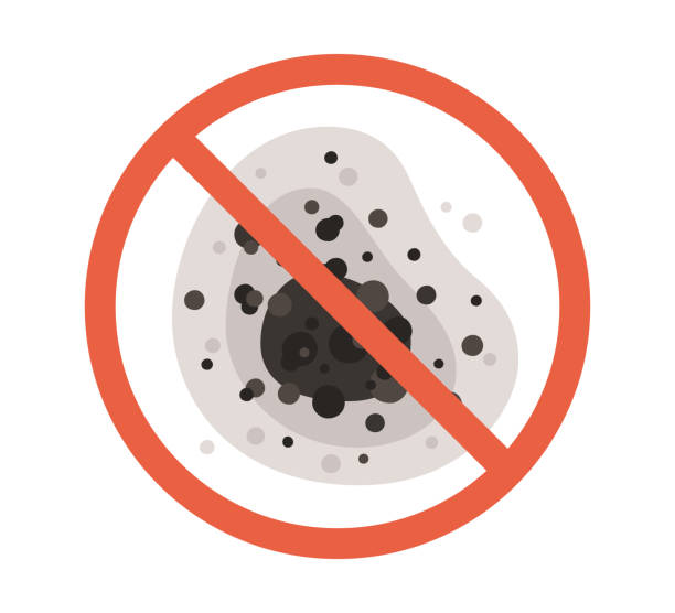Best Comprehensive Air Testing for Mold Contaminants  in Charlestown, IN