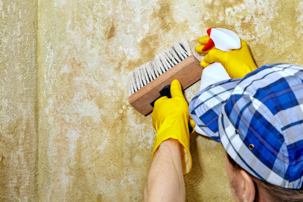 Best Indoor Air Quality Assessment  in Charlestown, IN