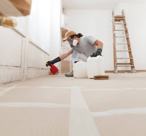 Charlestown, IN Mold Removal Company