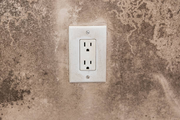 Best Asbestos and Lead Testing During Mold Inspection  in Charlestown, IN