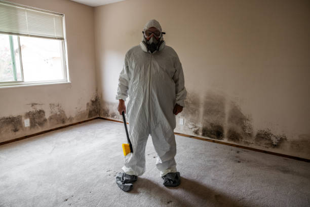Forensic Mold Investigation in Charlestown, IN